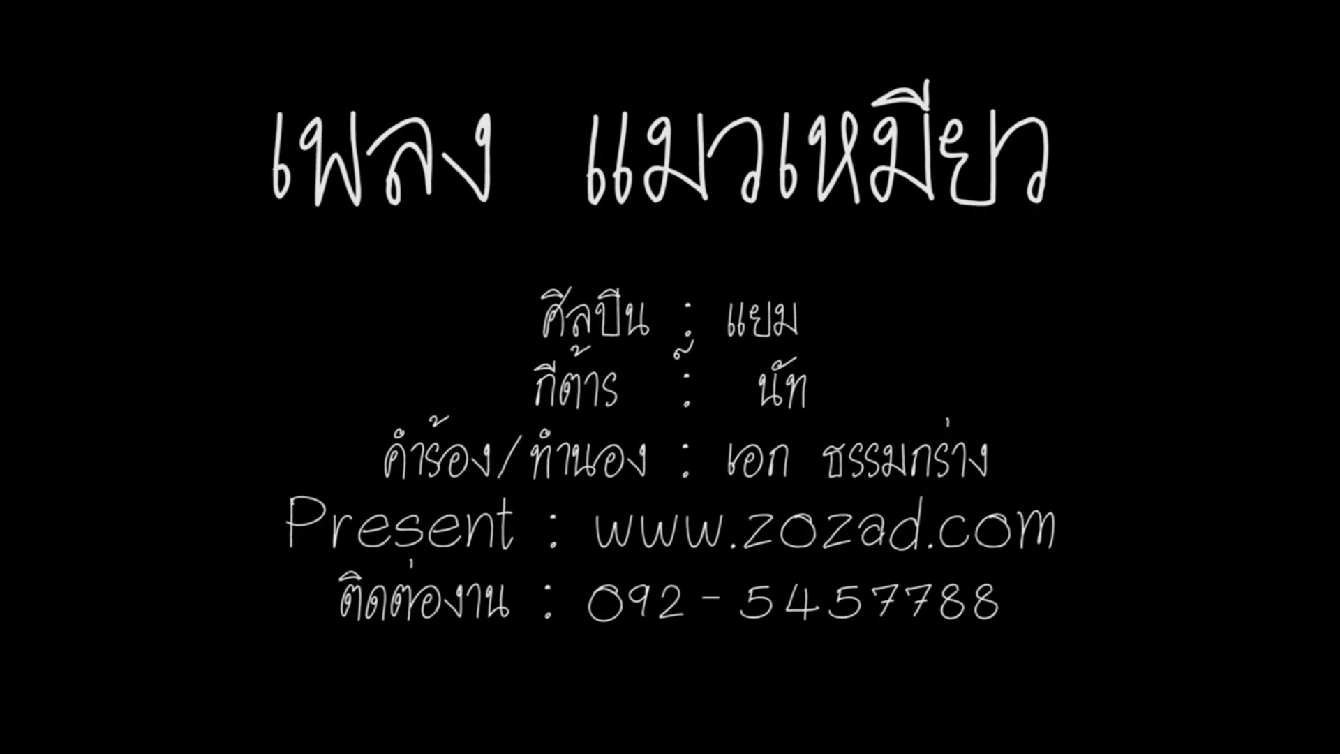 เพลง แมวเหมียว